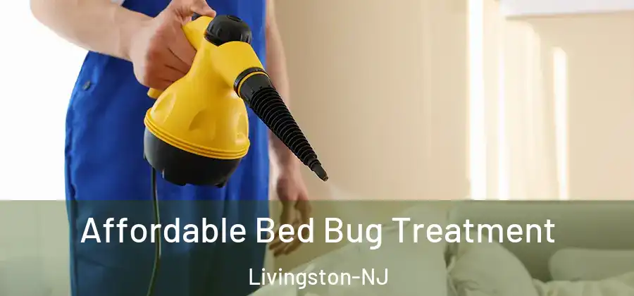 Affordable Bed Bug Treatment Livingston-NJ