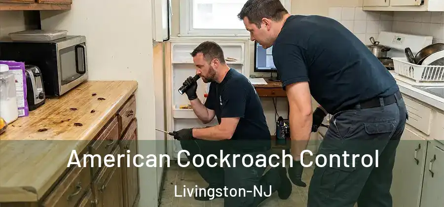American Cockroach Control Livingston-NJ