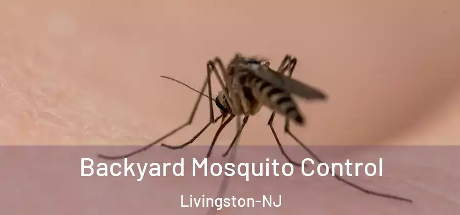 Backyard Mosquito Control Livingston-NJ