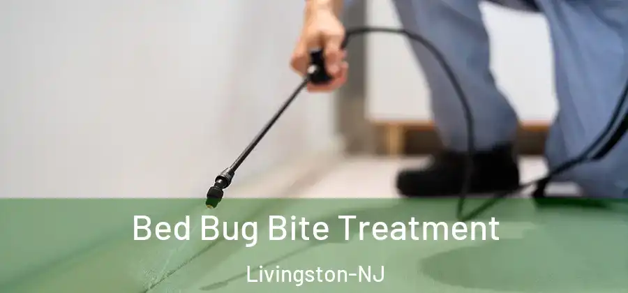  Bed Bug Bite Treatment Livingston-NJ