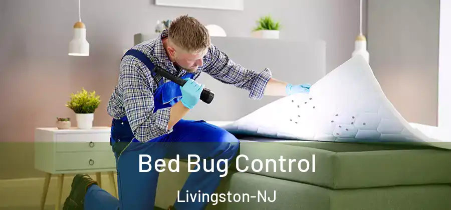 Bed Bug Control Livingston-NJ