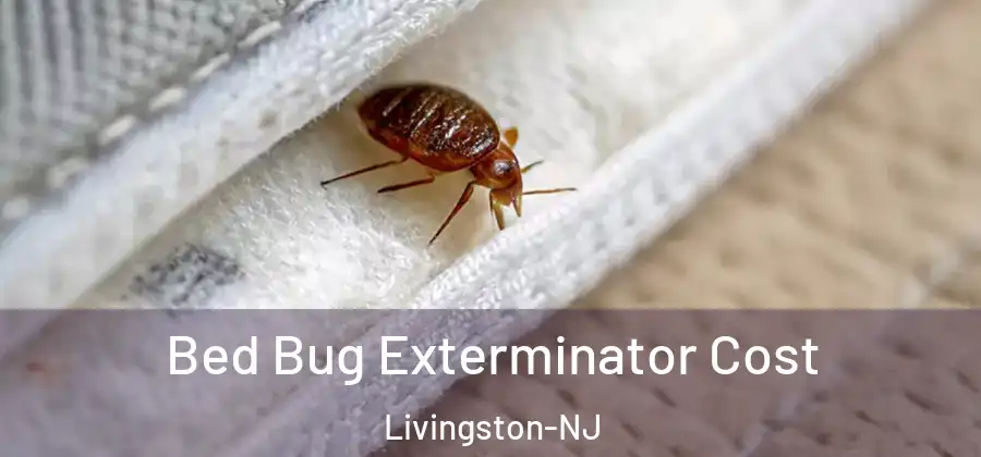  Bed Bug Exterminator Cost Livingston-NJ
