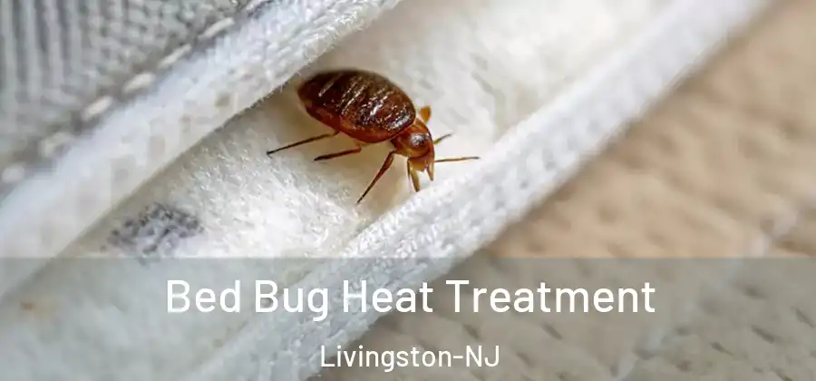 Bed Bug Heat Treatment Livingston-NJ