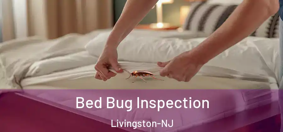  Bed Bug Inspection Livingston-NJ