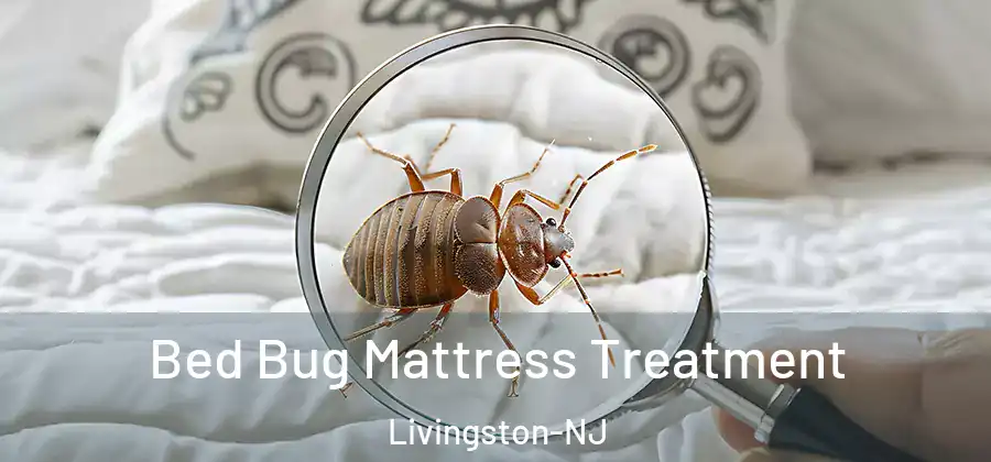 Bed Bug Mattress Treatment Livingston-NJ