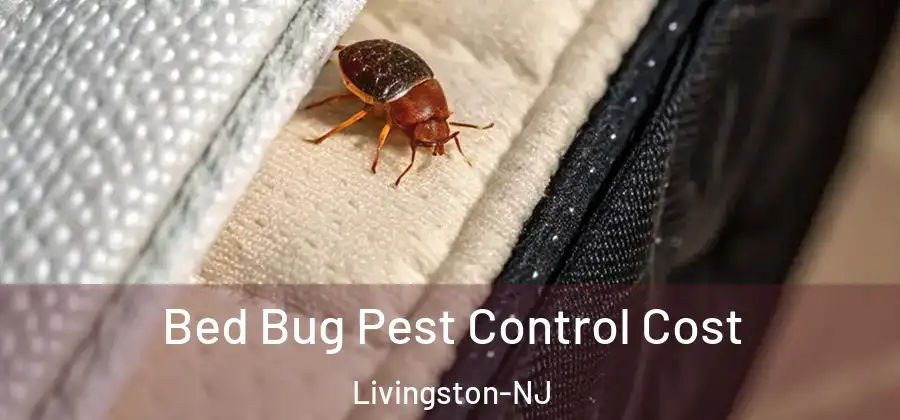  Bed Bug Pest Control Cost Livingston-NJ
