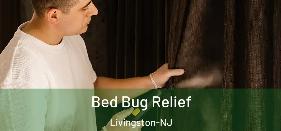 Bed Bug Relief Livingston-NJ