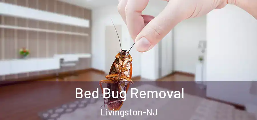  Bed Bug Removal Livingston-NJ