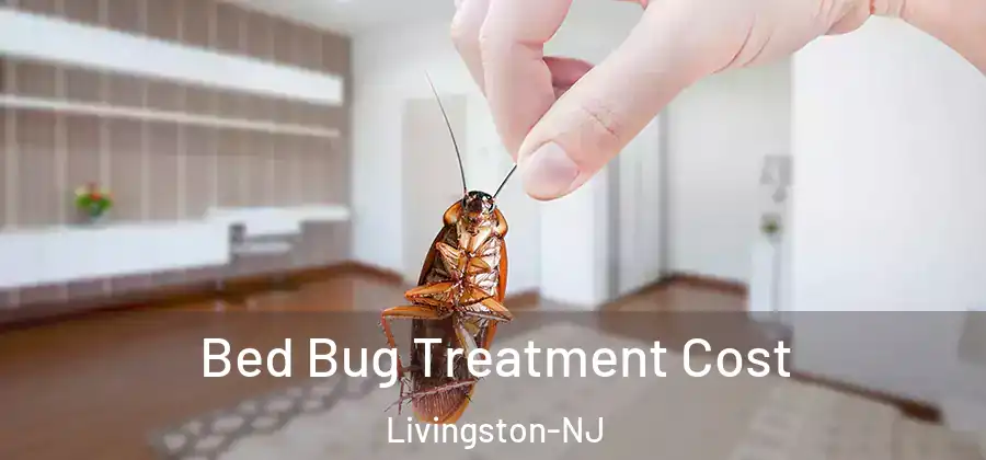  Bed Bug Treatment Cost Livingston-NJ