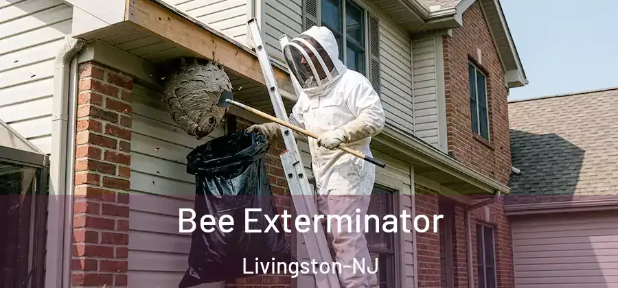 Bee Exterminator Livingston-NJ