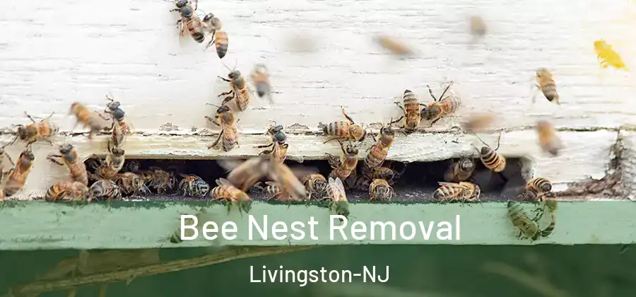 Bee Nest Removal Livingston-NJ