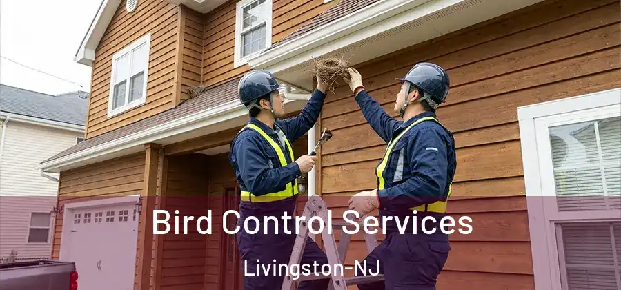 Bird Control Services Livingston-NJ