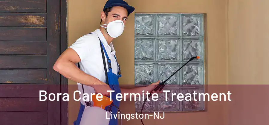  Bora Care Termite Treatment Livingston-NJ