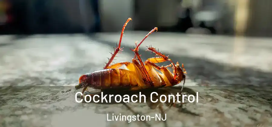 Cockroach Control Livingston-NJ