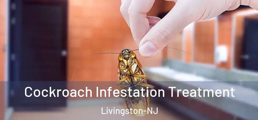 Cockroach Infestation Treatment Livingston-NJ
