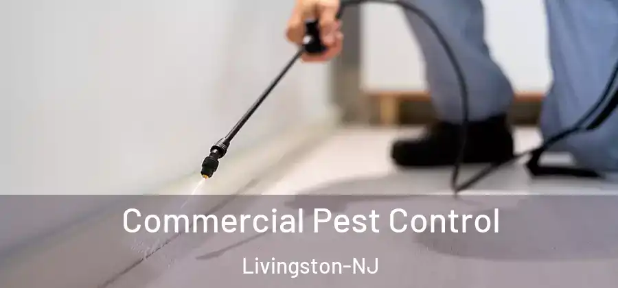Commercial Pest Control Livingston-NJ