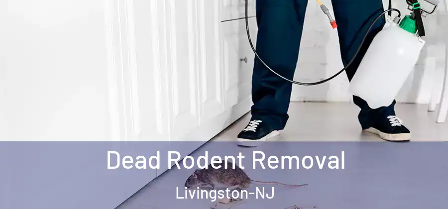  Dead Rodent Removal Livingston-NJ
