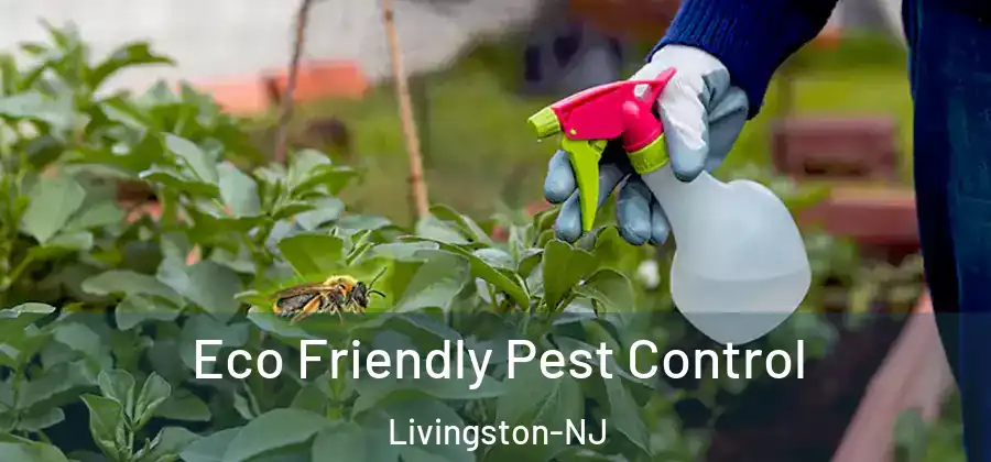  Eco Friendly Pest Control Livingston-NJ
