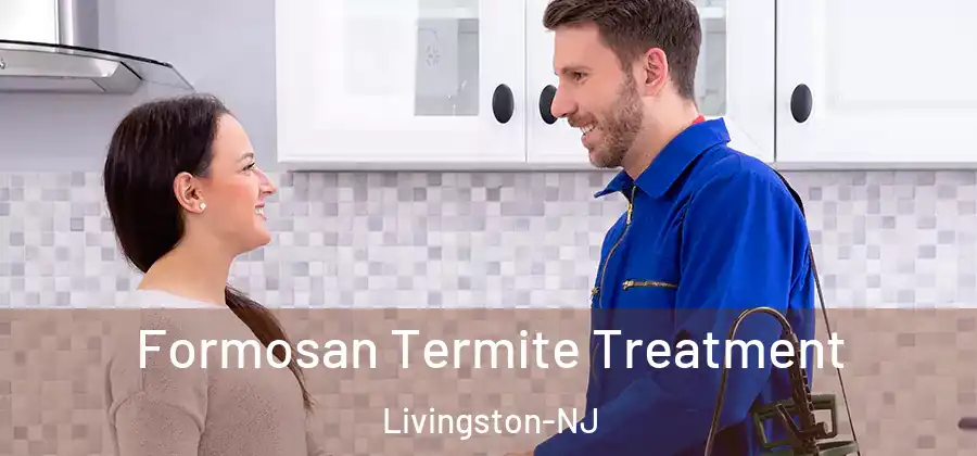 Formosan Termite Treatment Livingston-NJ