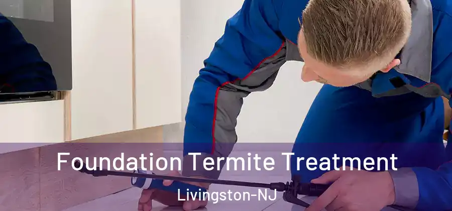  Foundation Termite Treatment Livingston-NJ