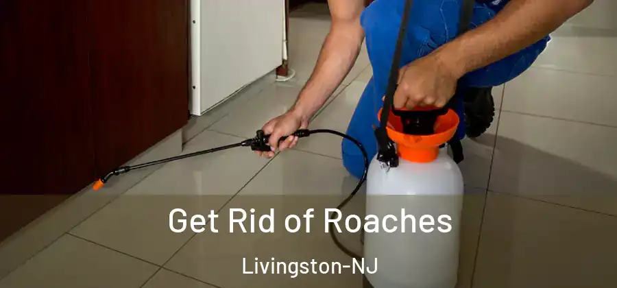  Get Rid of Roaches Livingston-NJ