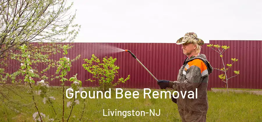 Ground Bee Removal Livingston-NJ