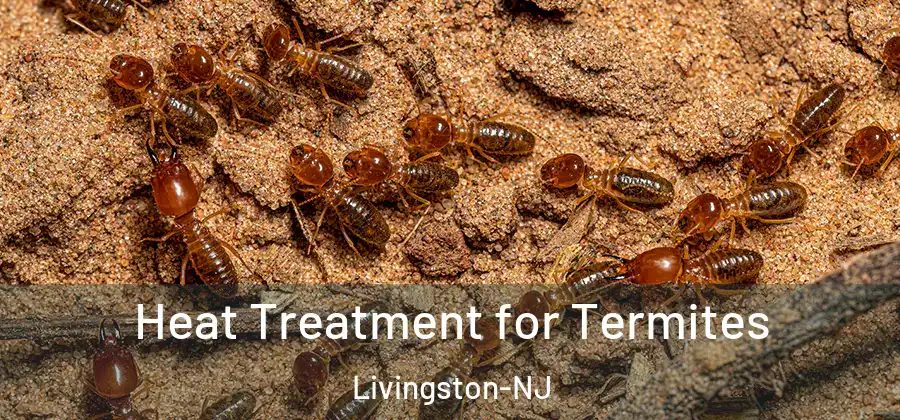  Heat Treatment for Termites Livingston-NJ