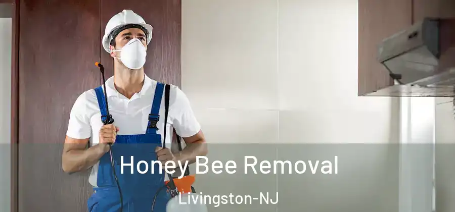 Honey Bee Removal Livingston-NJ