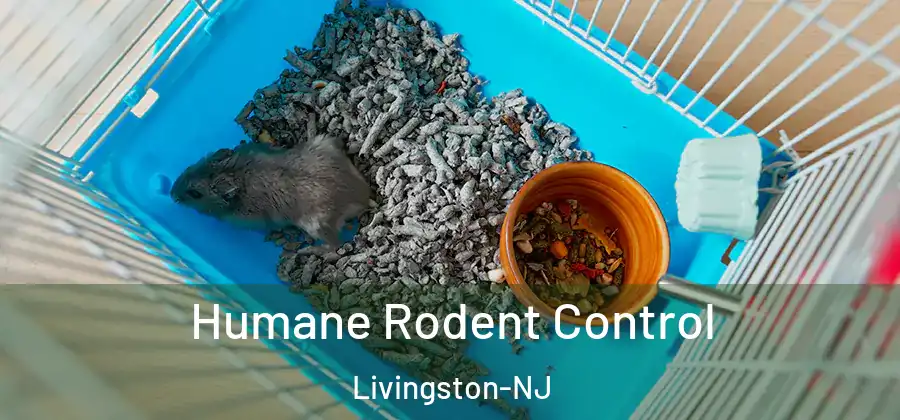  Humane Rodent Control Livingston-NJ
