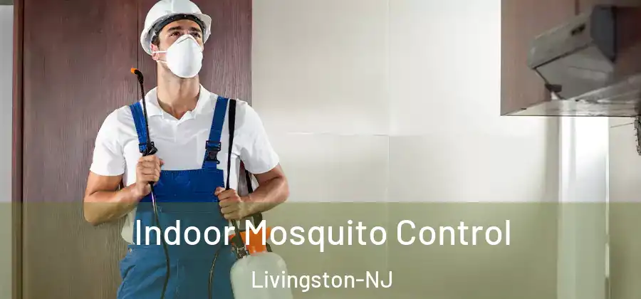  Indoor Mosquito Control Livingston-NJ
