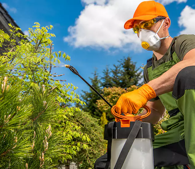Your Best Bug Spray for Home Team in Livingston, NJ