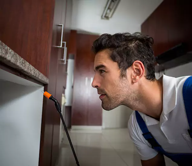 Termite Inspection Cost Experts You Can Trust in Livingston, NJ