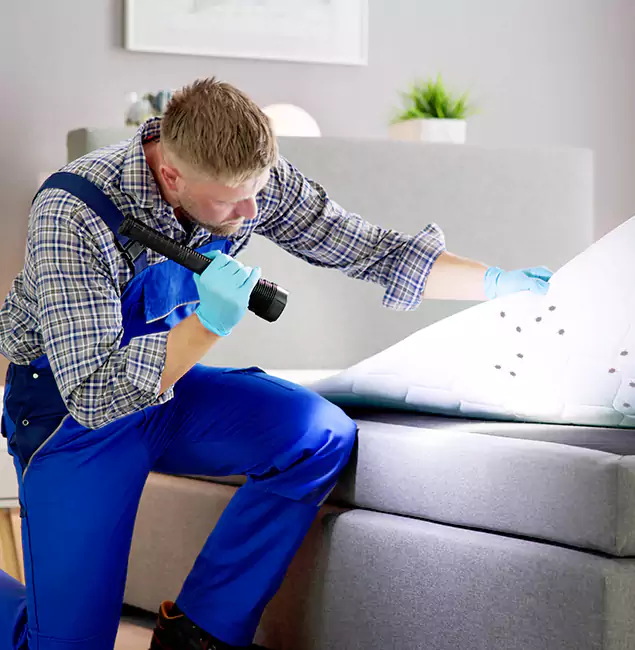 Why Choose Livingston Pest Control Pro For Bed Bug Heat Treatment in Livingston, NJ?