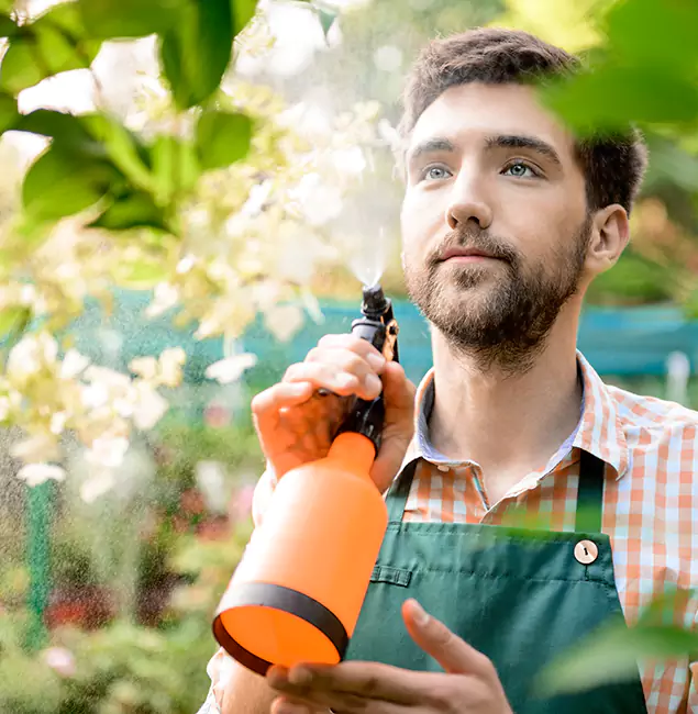 Why Livingston Pest Control Pro Is the Best Mosquito Control Company in Livingston, NJ?