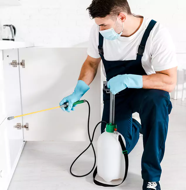 Why Choose Livingston Pest Control Pro for Termite Spot Treatment in Livingston, NJ?
