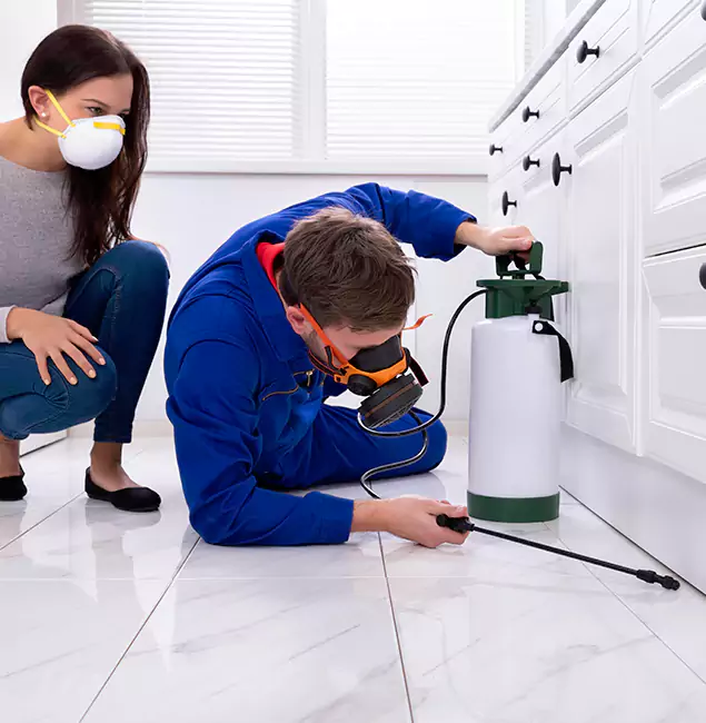 Why Choose Wood Termite Treatment by Livingston Pest Control Pro in Livingston, NJ?