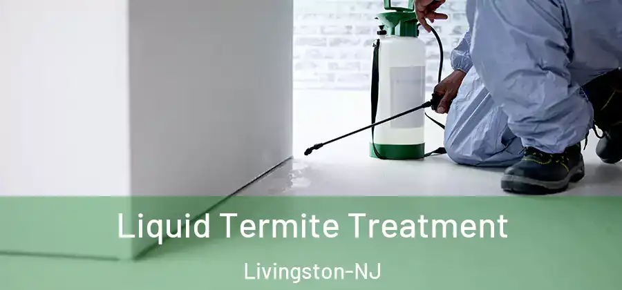  Liquid Termite Treatment Livingston-NJ