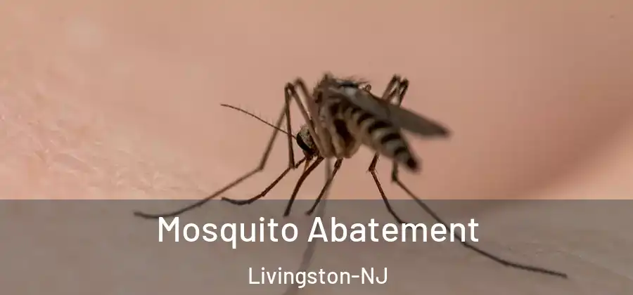 Mosquito Abatement Livingston-NJ