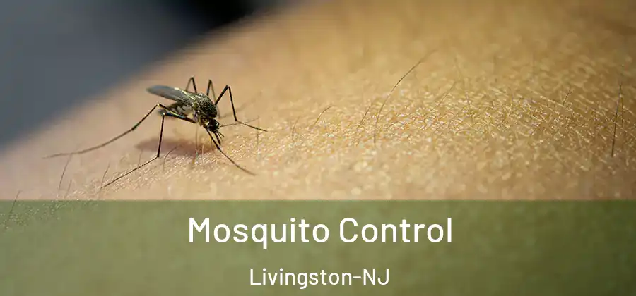  Mosquito Control Livingston-NJ