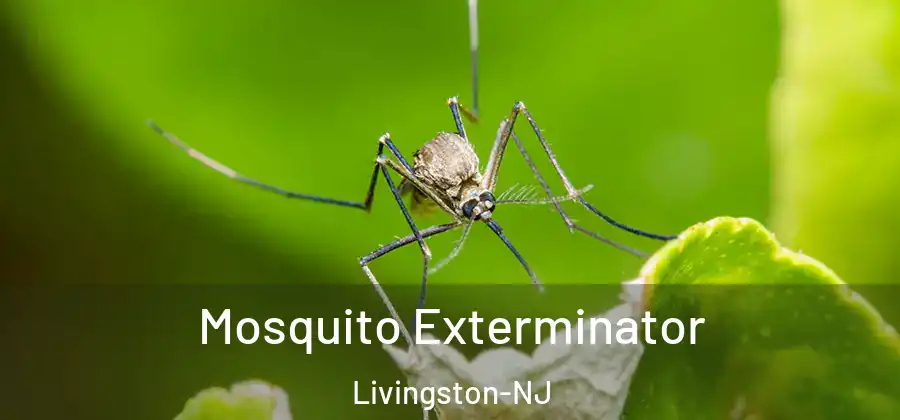Mosquito Exterminator Livingston-NJ