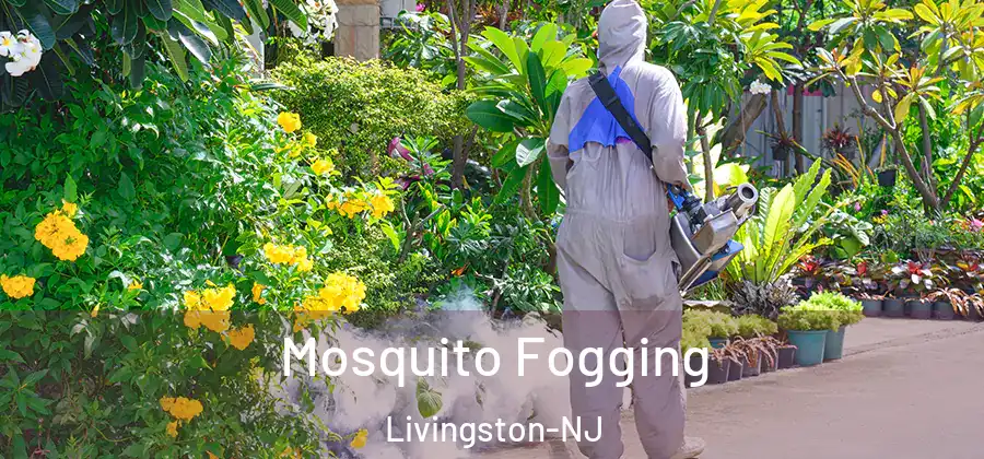  Mosquito Fogging Livingston-NJ