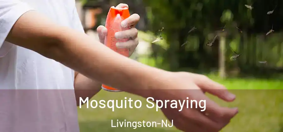 Mosquito Spraying Livingston-NJ