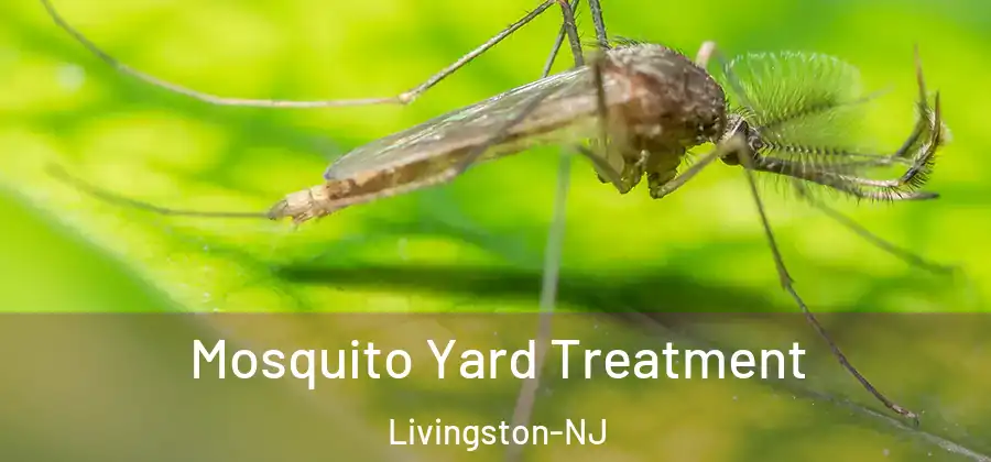  Mosquito Yard Treatment Livingston-NJ