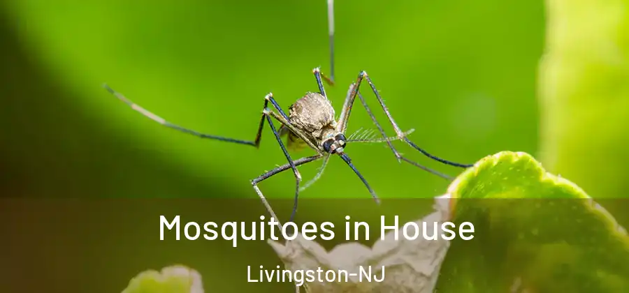  Mosquitoes in House Livingston-NJ