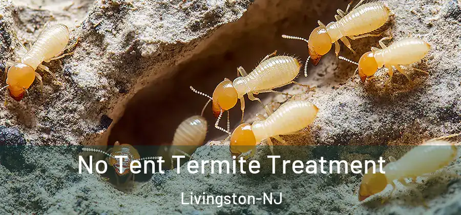  No Tent Termite Treatment Livingston-NJ