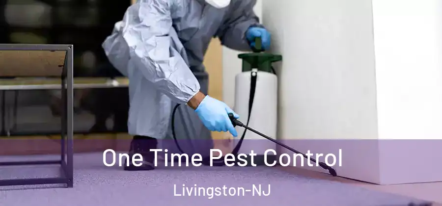  One Time Pest Control Livingston-NJ