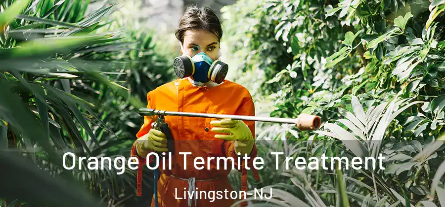  Orange Oil Termite Treatment Livingston-NJ