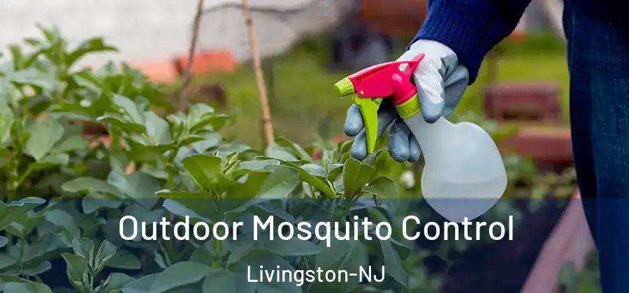 Outdoor Mosquito Control Livingston-NJ