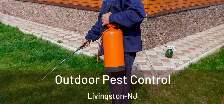  Outdoor Pest Control Livingston-NJ