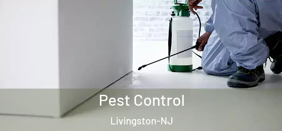  Pest Control Livingston-NJ